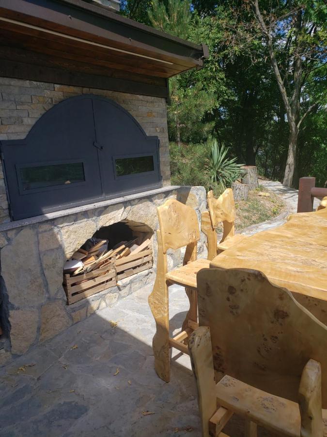 Vila Slankamenka Stari Slankamen Zewnętrze zdjęcie