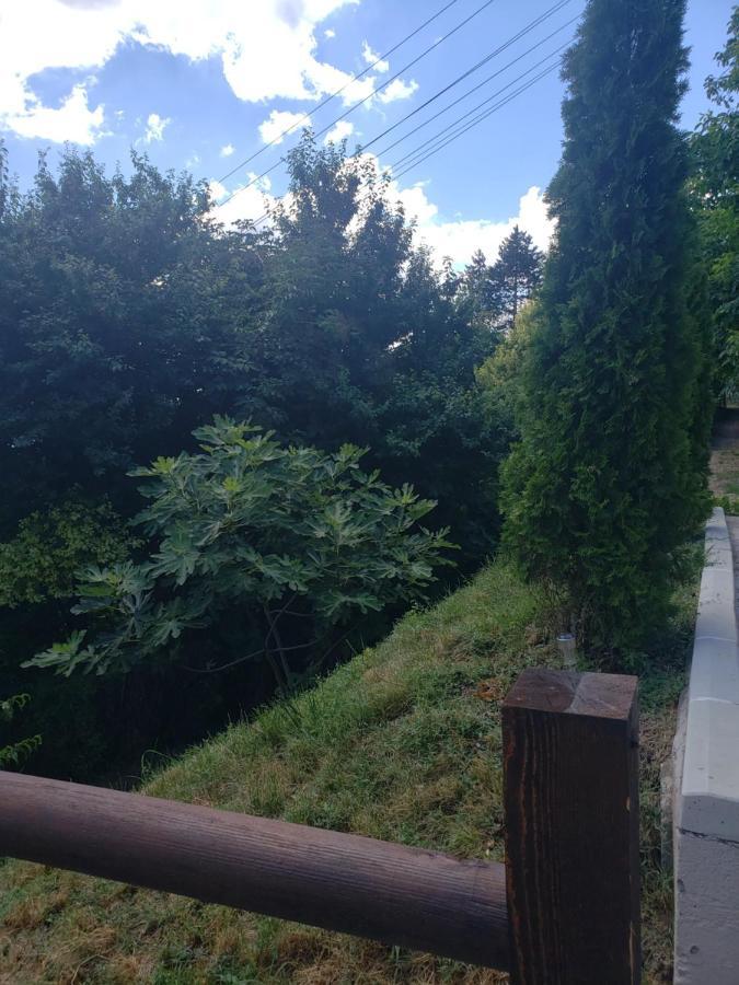 Vila Slankamenka Stari Slankamen Zewnętrze zdjęcie